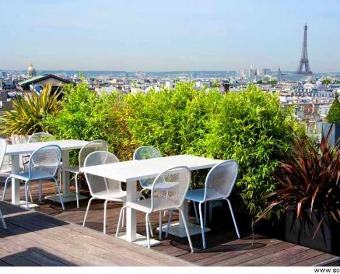 Top 3 des meilleurs salons de thé de Paris - Sortir à Paris : Trouvez ...